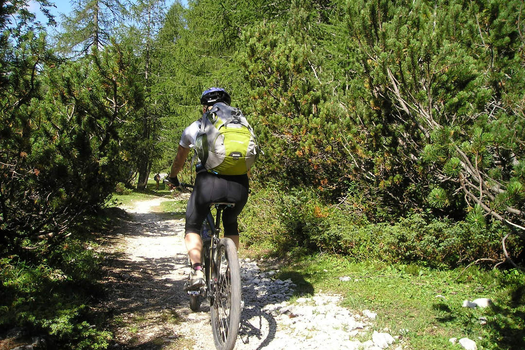 Fahrt mit dem Mountain-Bike durch die Latschen